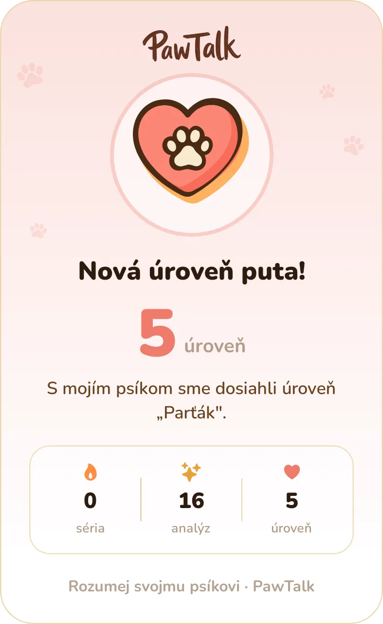 Zdieľacia karta — nová úroveň puta
